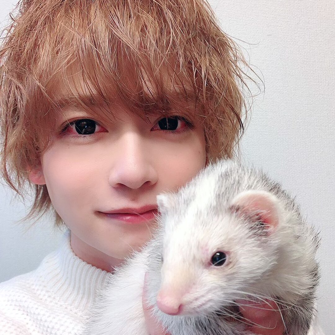 アニマルハウスユーキ — 3